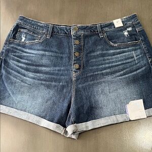 Time and Tru Dark Blue Jean Shorts Women’s Plus Size 20 button fly